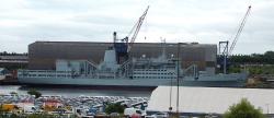 RFA Fort Austin, Fort Class Stores Vessel