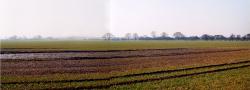 Marston Moor