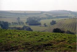 Towton